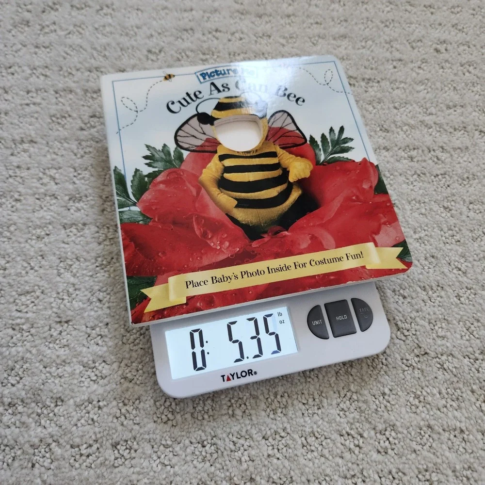 Picture Me Cute As Can Bee Board Book Photo Insert‎ NEW